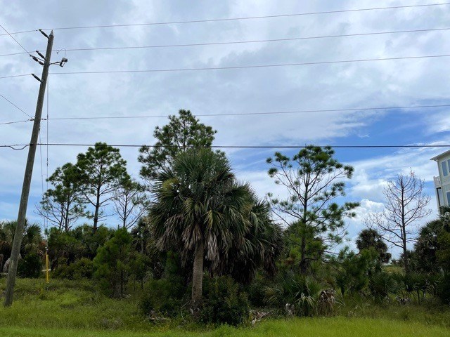 Lot B Indian Pass Road Port St. Joe, FL 32456 - Photo 2 of 4