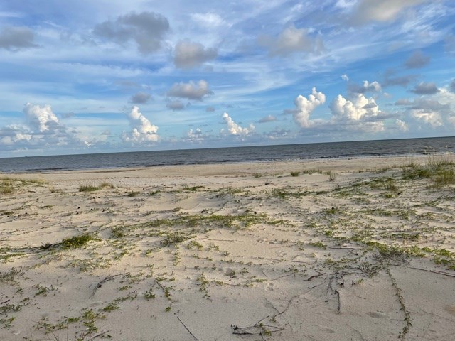 Lot B Indian Pass Road Port St. Joe, FL 32456 - Photo 3 of 4