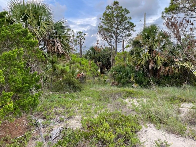 Lot B Indian Pass Road Port St. Joe, FL 32456 - Photo 4 of 4