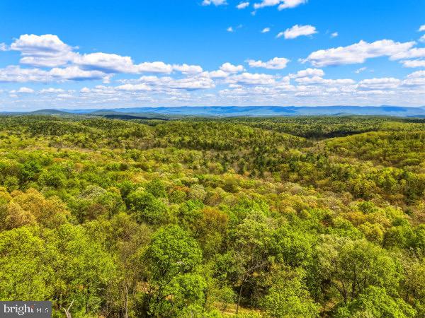 16-17 South Supinlick Ridge Rd Mount Mount Jackson, VA 22842 - Photo 11 of 11