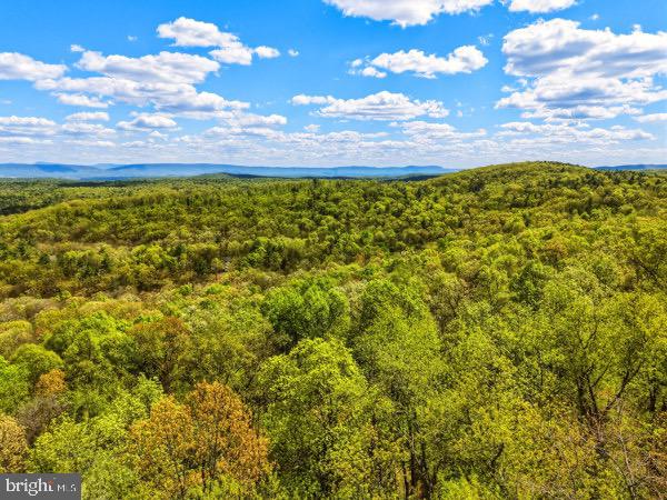 16-17 South Supinlick Ridge Rd Mount Mount Jackson, VA 22842 - Photo 7 of 10 a view of an ocean