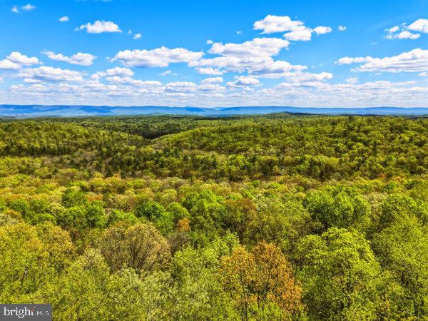 16-17 South Supinlick Ridge Rd Mount Mount Jackson, VA 22842 - Photo 9 of 11