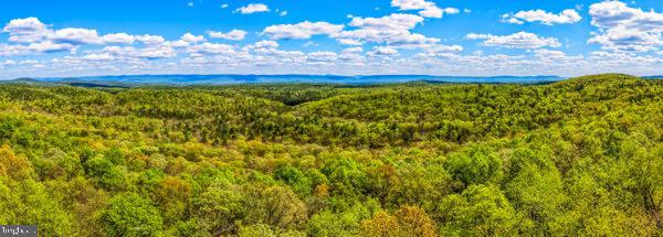 16-17 South Supinlick Ridge Rd Mount Mount Jackson, VA 22842 - Photo 10 of 11