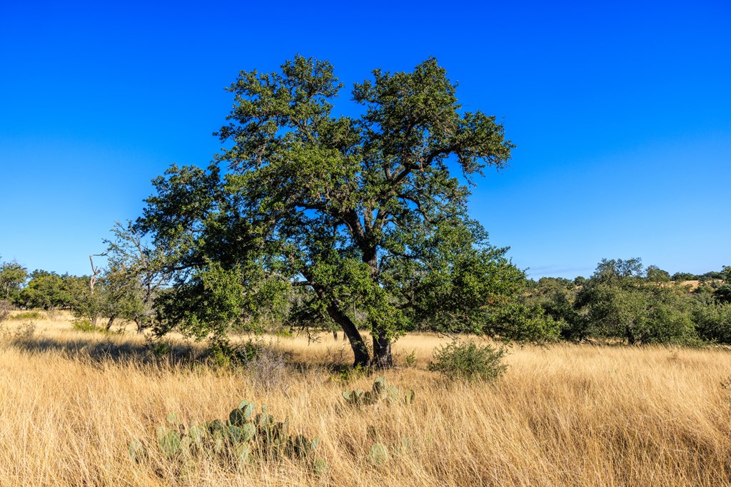 Lot 20 Mayers Rdg Drive Kerrville, TX 78028 - Photo 6 of 11