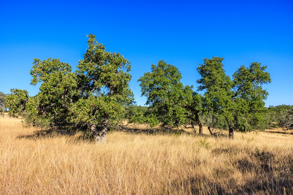 Lot 20 Mayers Rdg Drive Kerrville, TX 78028 - Photo 7 of 11