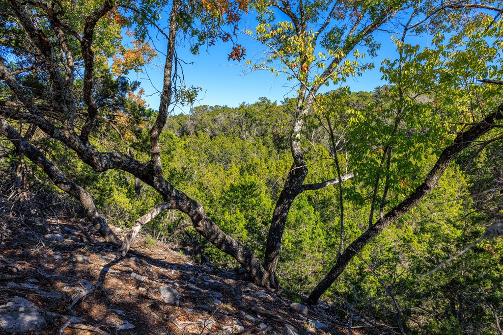 Lot 20 Mayers Rdg Drive Kerrville, TX 78028 - Photo 10 of 11