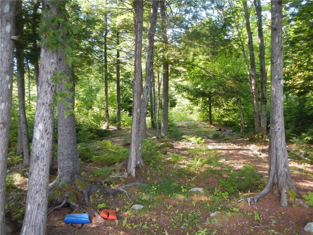Tbd Tbd Eskutassis & Spruce Point Road Lowell, ME 04493 - Photo 18 of 23 Photo