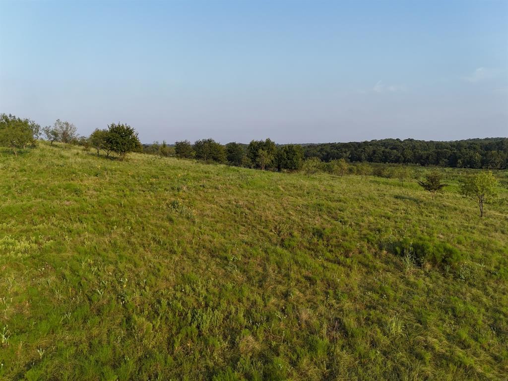 Tbd Lot 2 Tbd Road Ennis, TX 75119 - Photo 18 of 20