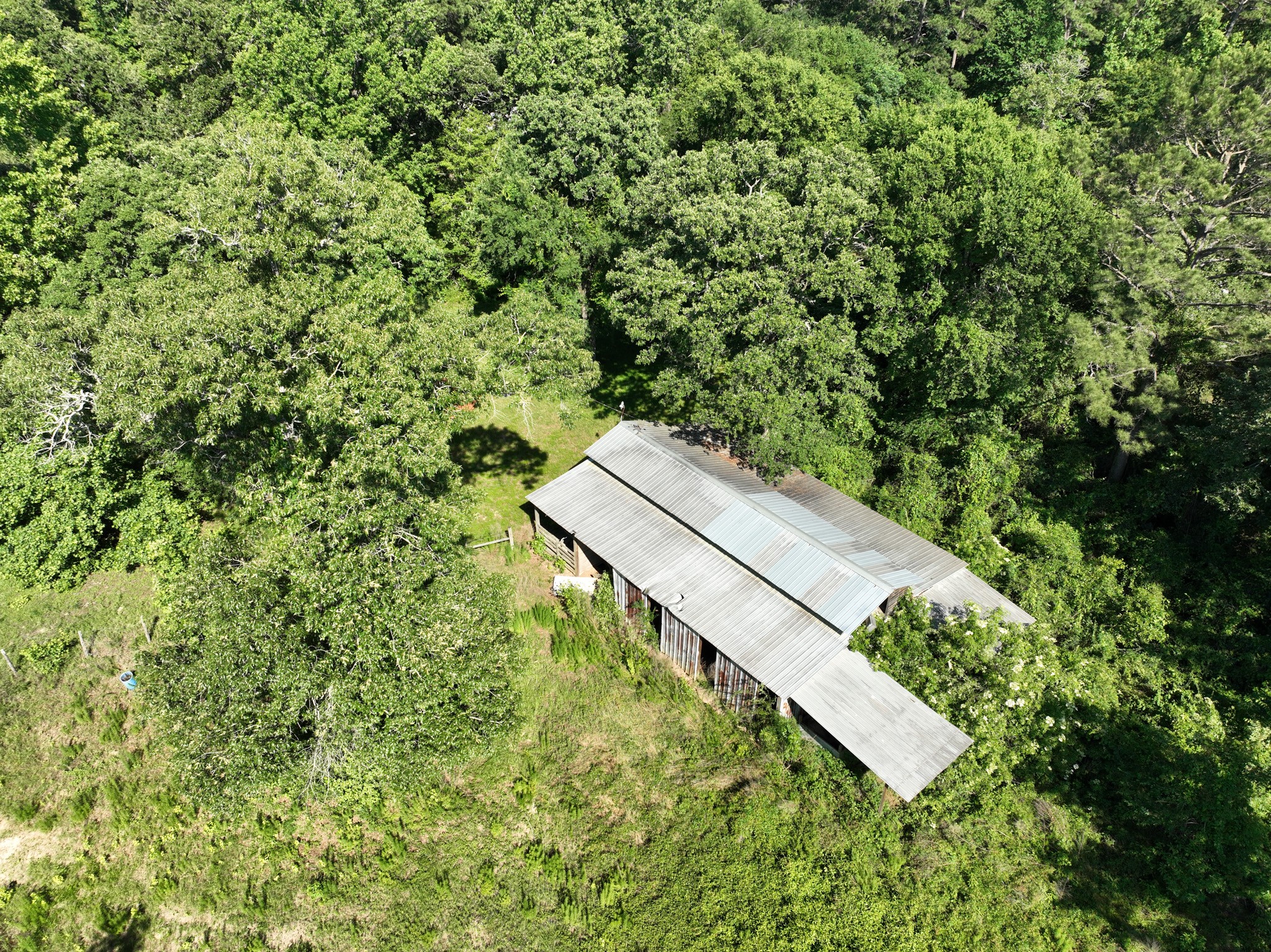 3309 Honea Egypt Road Montgomery, TX 77316 - Photo 24 of 40