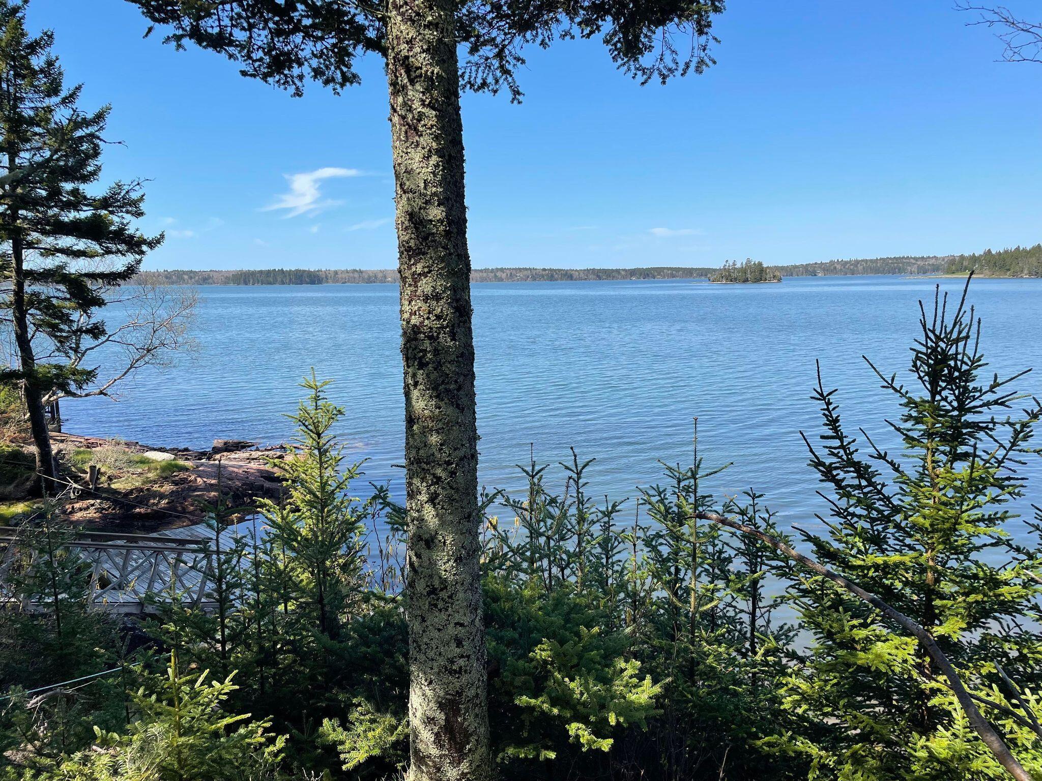 76 Collins Cove Road Machiasport, ME 04655 - Photo 21 of 53 279610321_332594595493758_25982757921696
