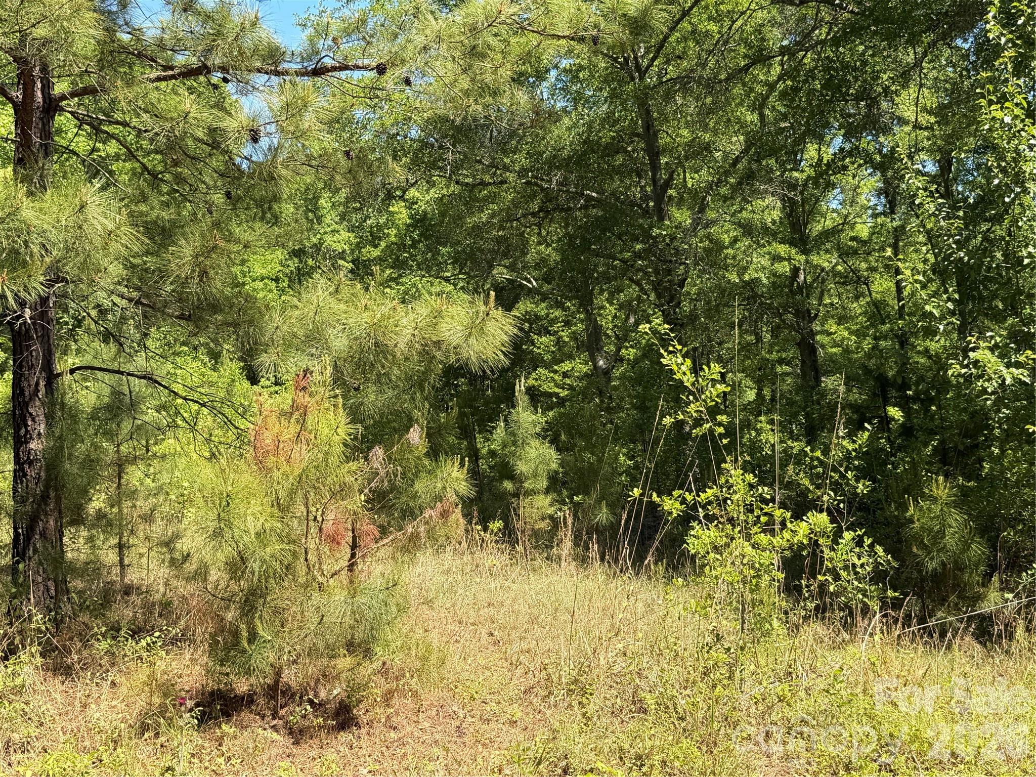 0 Providence Road Lancaster, SC 29720 - Photo 12 of 12