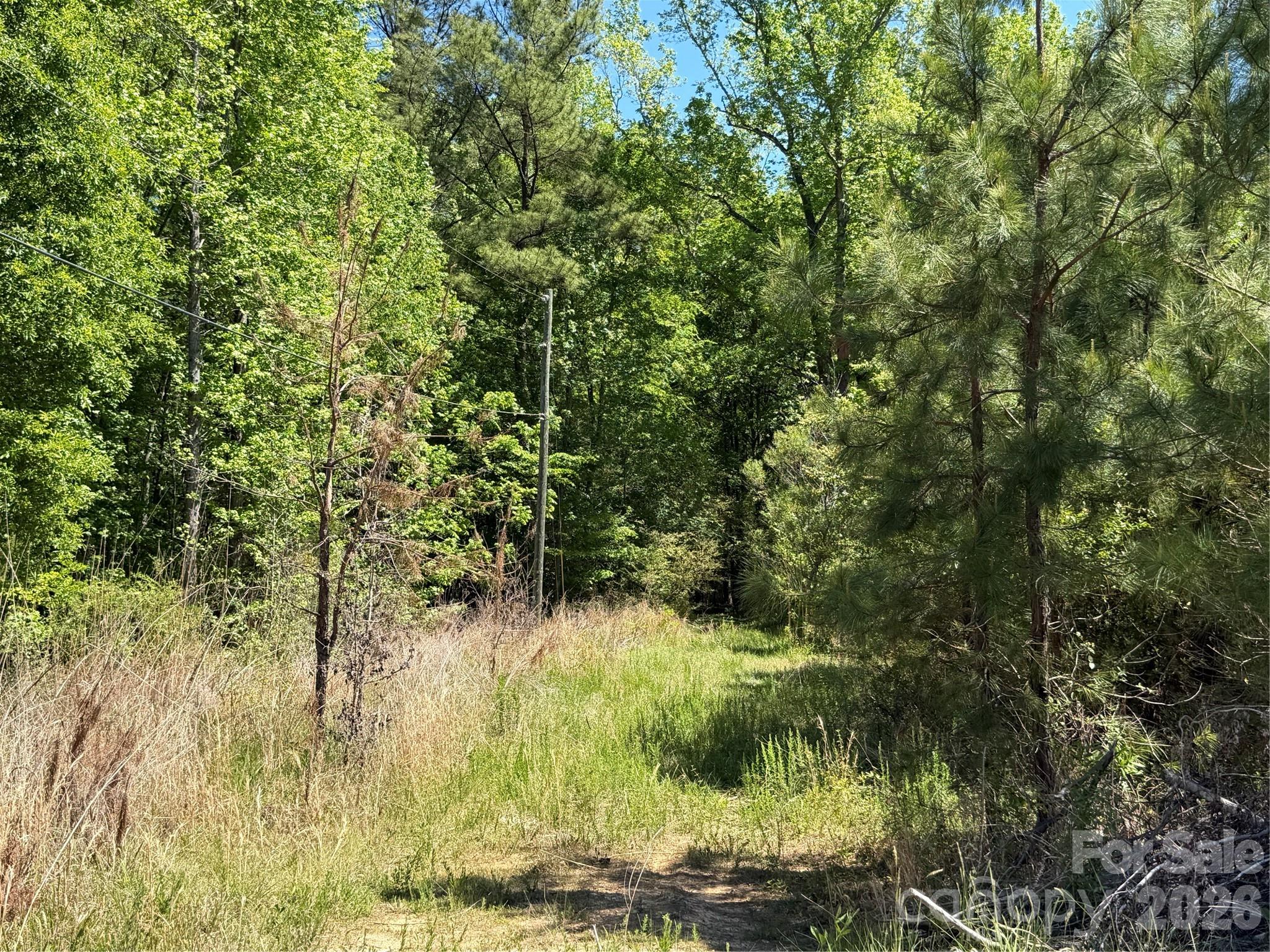 0 Providence Road Lancaster, SC 29720 - Photo 3 of 12