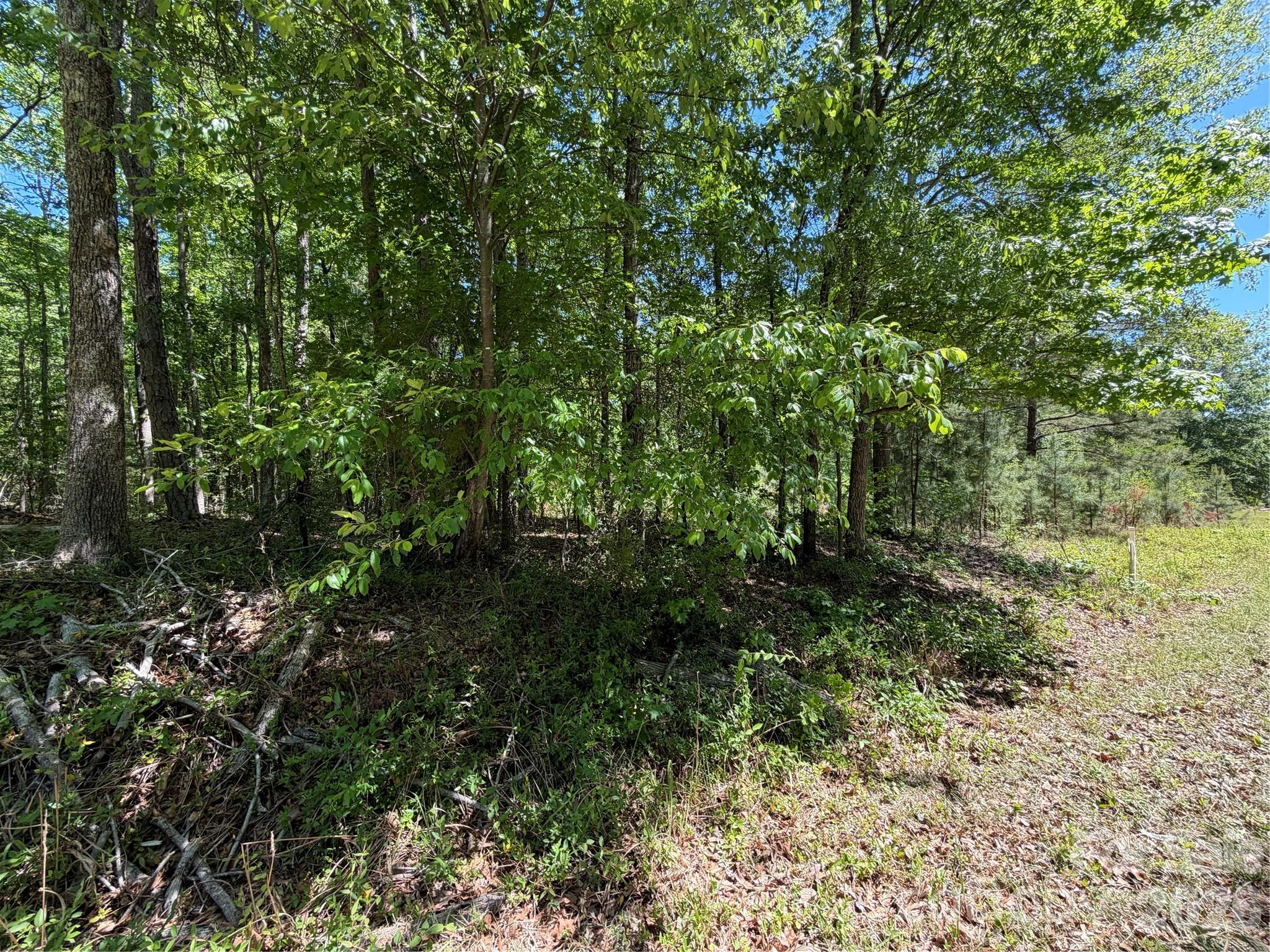 0 Providence Road Lancaster, SC 29720 - Photo 5 of 12
