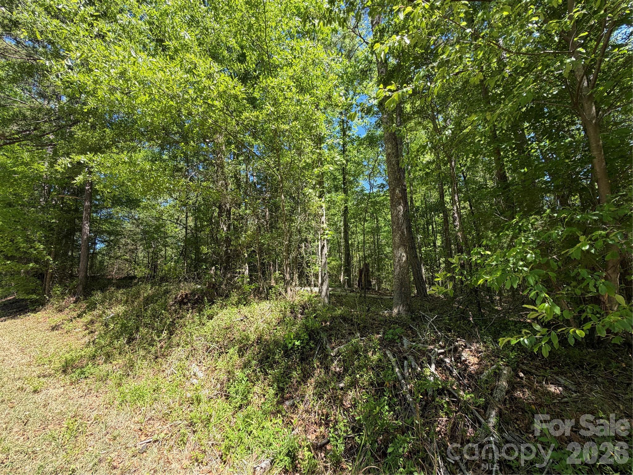 0 Providence Road Lancaster, SC 29720 - Photo 6 of 12