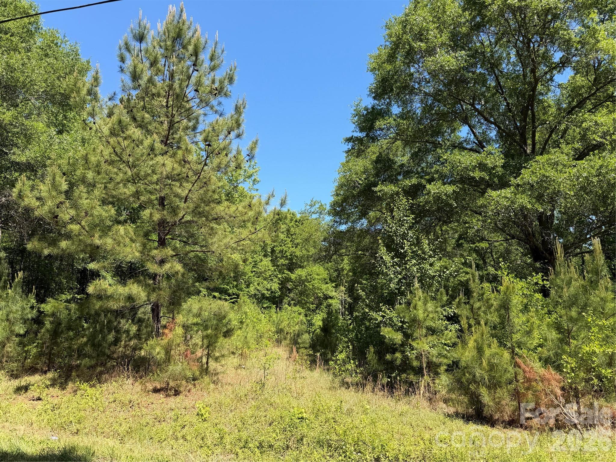 0 Providence Road Lancaster, SC 29720 - Photo 10 of 12