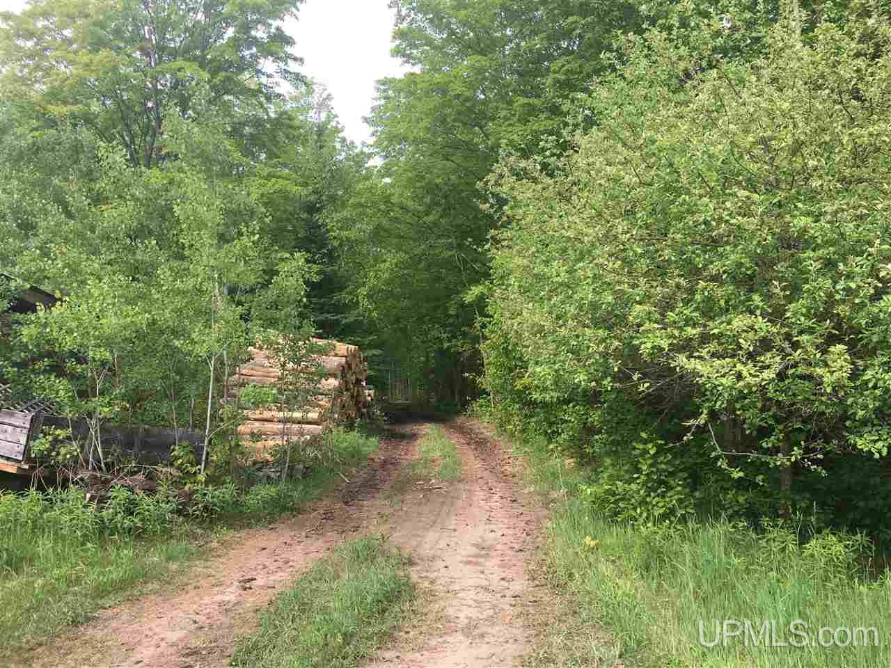 7407 Co Road Arnold, MI 49819 - Photo 19 of 21