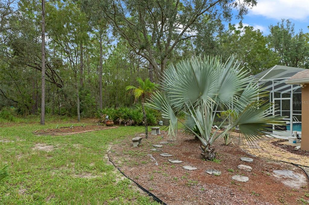 6 Coconut Court Homosassa, FL 34446 - Photo 30 of 36