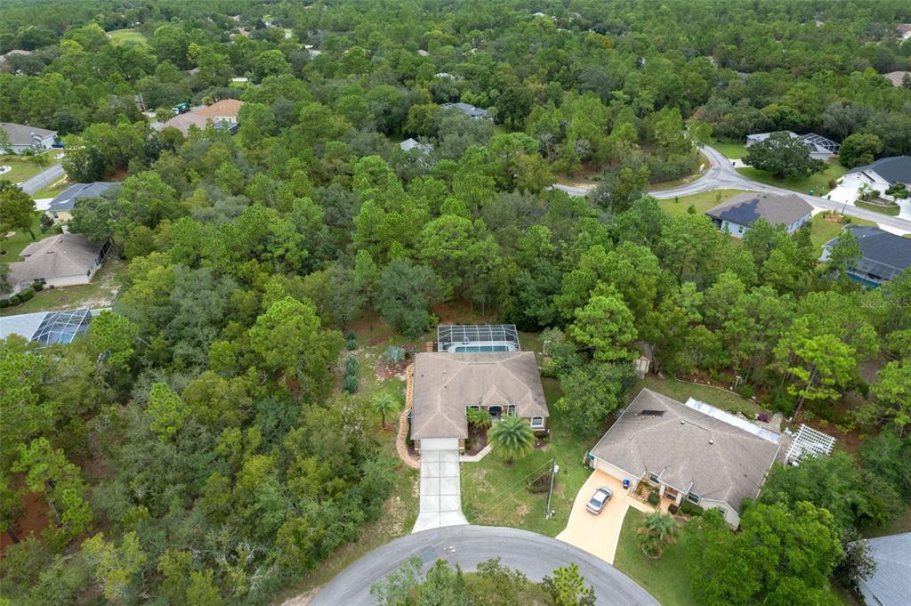 6 Coconut Court Homosassa, FL 34446 - Photo 33 of 36