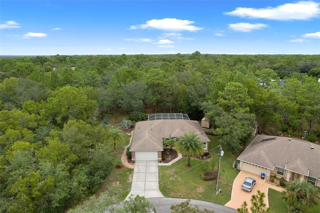 6 Coconut Court Homosassa, FL 34446 - Photo 34 of 36