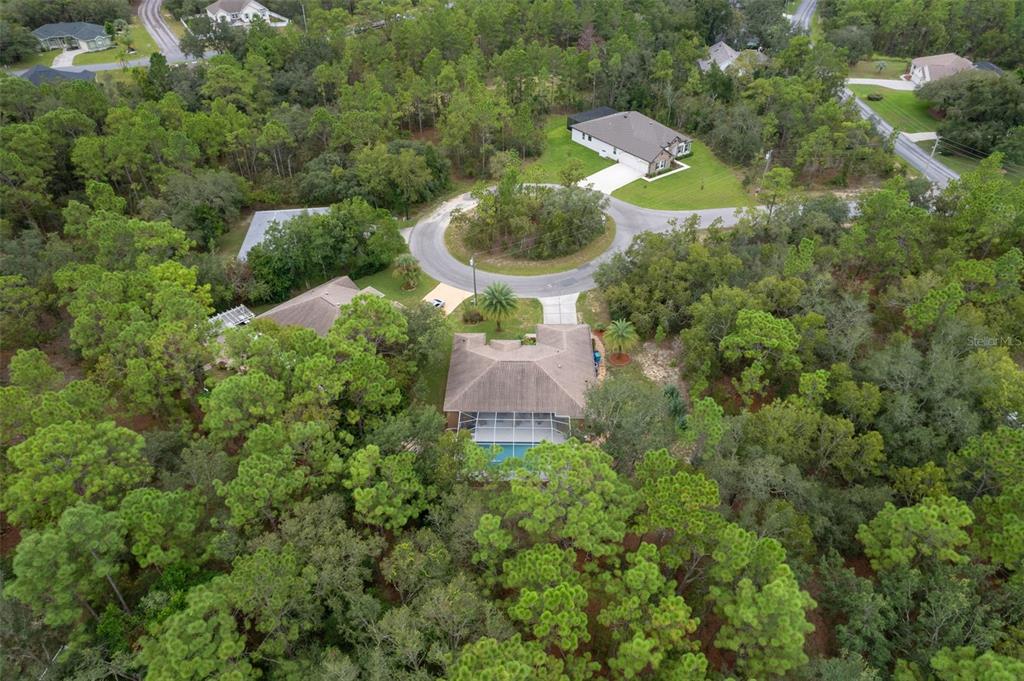 6 Coconut Court Homosassa, FL 34446 - Photo 36 of 36