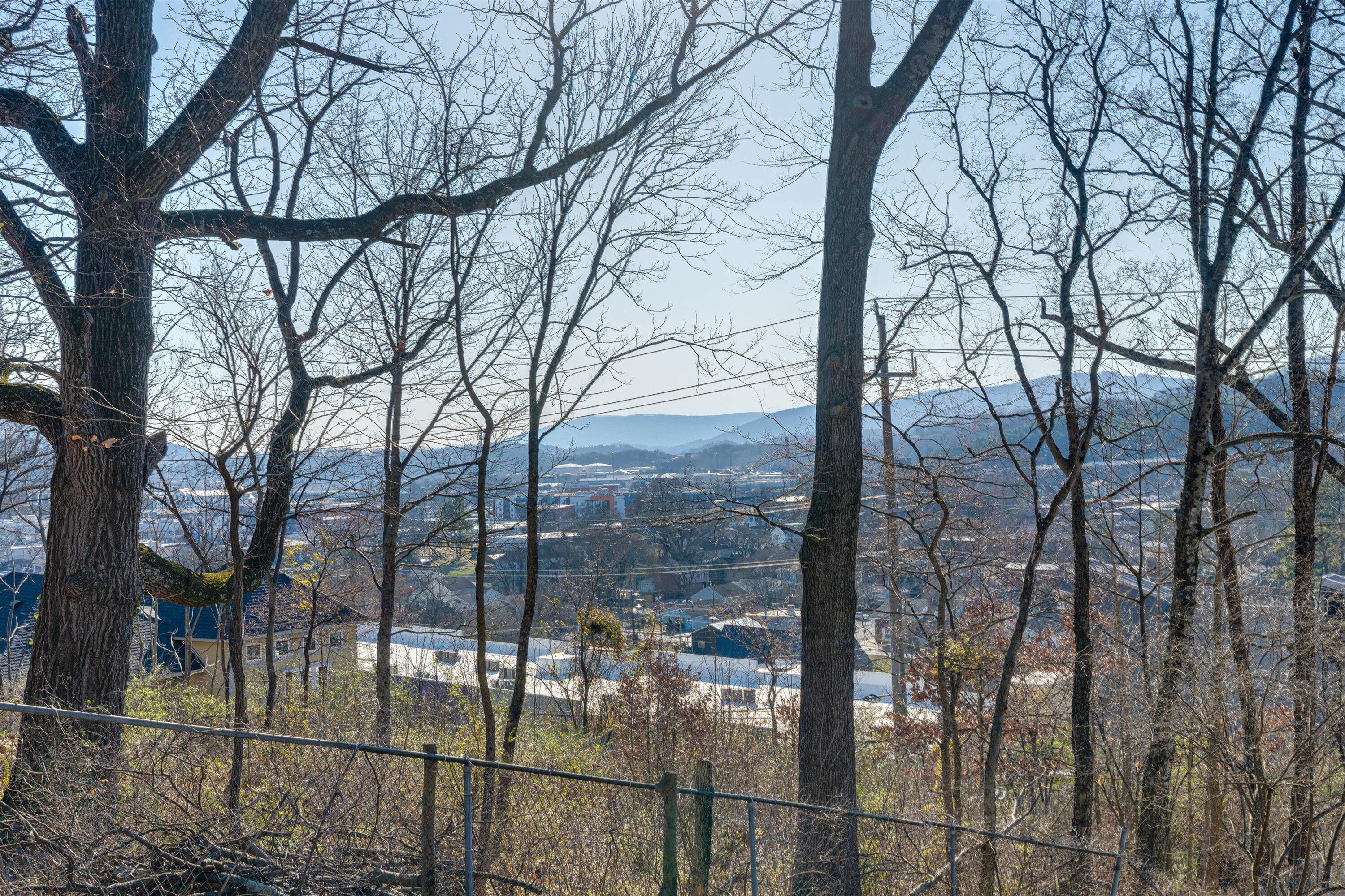 618 Hamilton Avenue Chattanooga, TN 37405 - Photo 7 of 27 06-618 Hamilton Ave-6