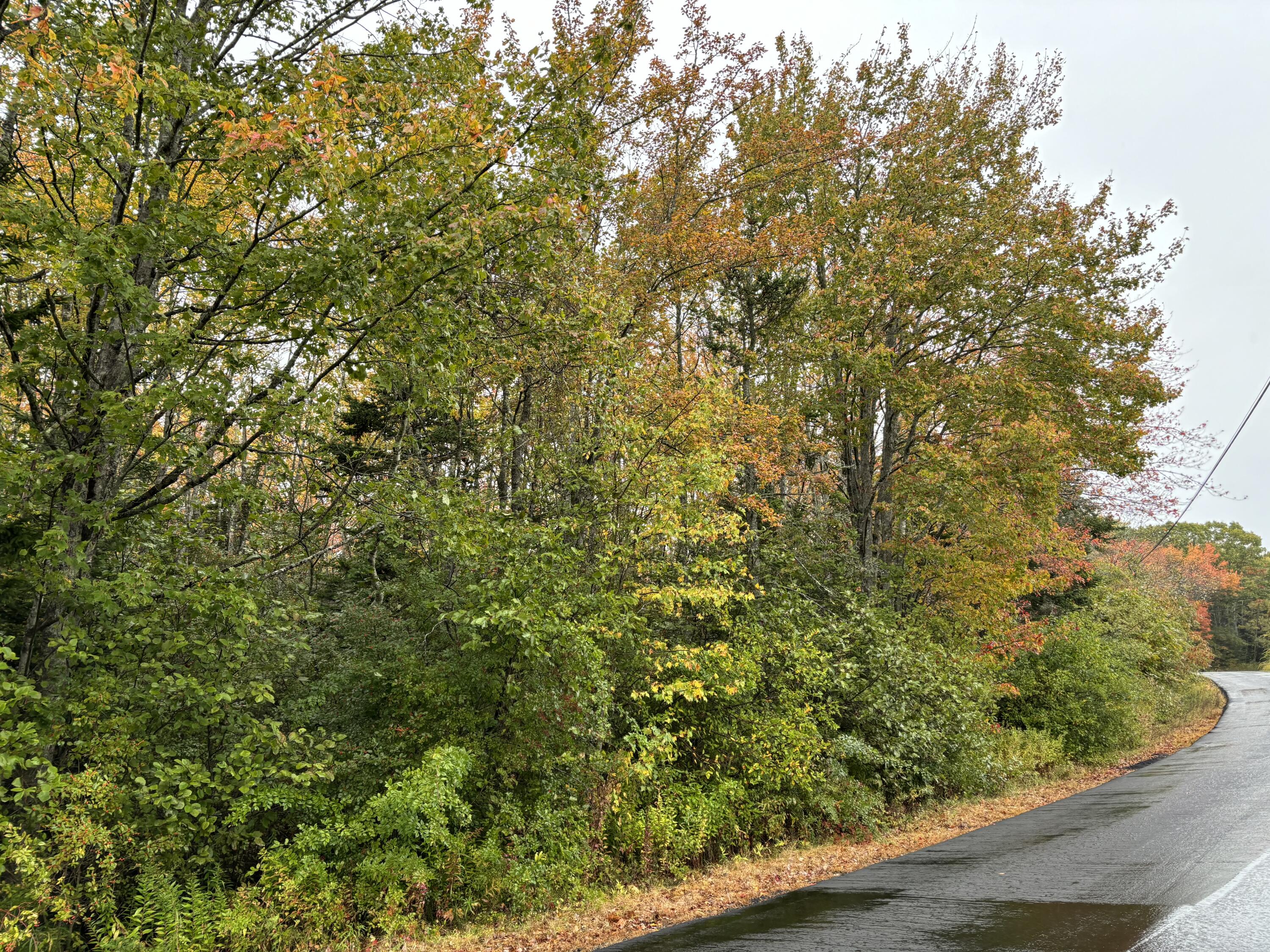 253 Hathorne Point Road Cushing, ME 04563 - Photo 2 of 12