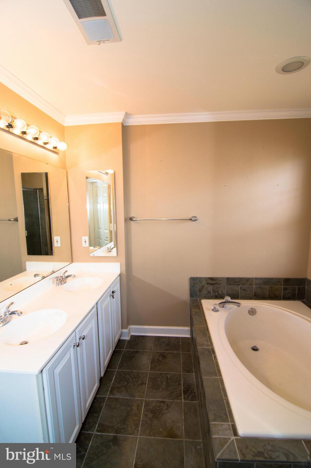 43004 Center Street Chantilly, VA 20152 - Photo 20 of 30 Upper Level Bath (Master)