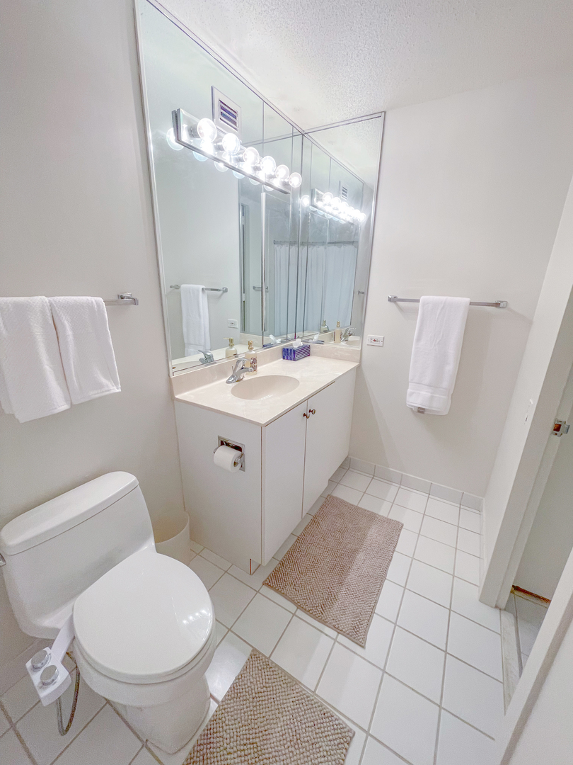 405 North Wabash Avenue, Unit 1410 Chicago, IL 60611 - Photo 11 of 18 a bathroom with a sink a toilet and mirror