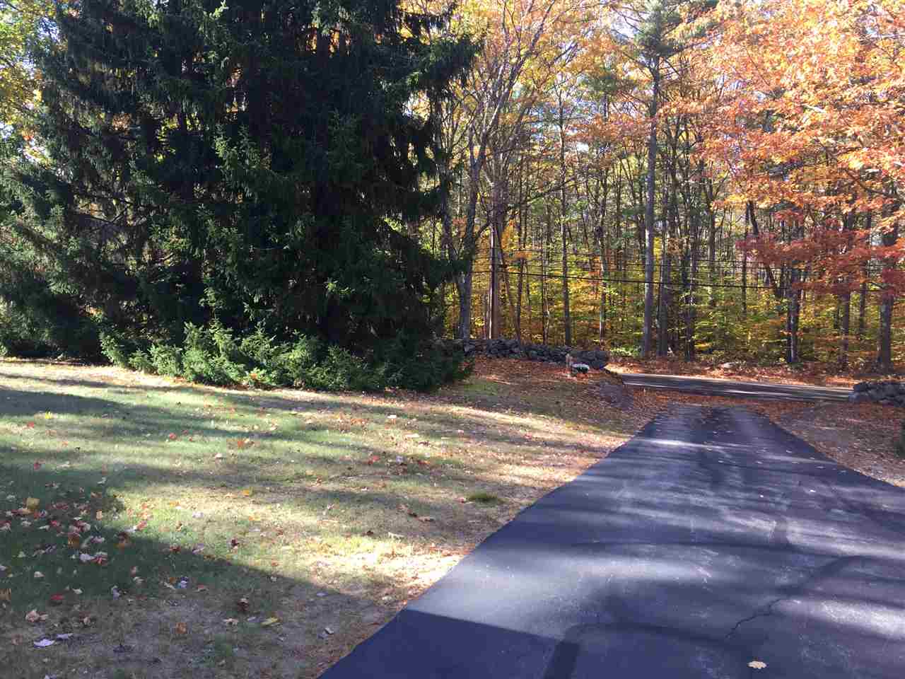 29 Bow Center Road Bow, NH 03304 - Photo 14 of 17