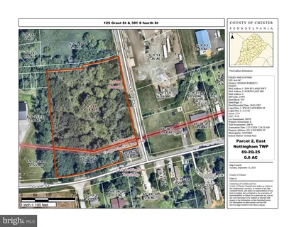 a view of a garden with plants