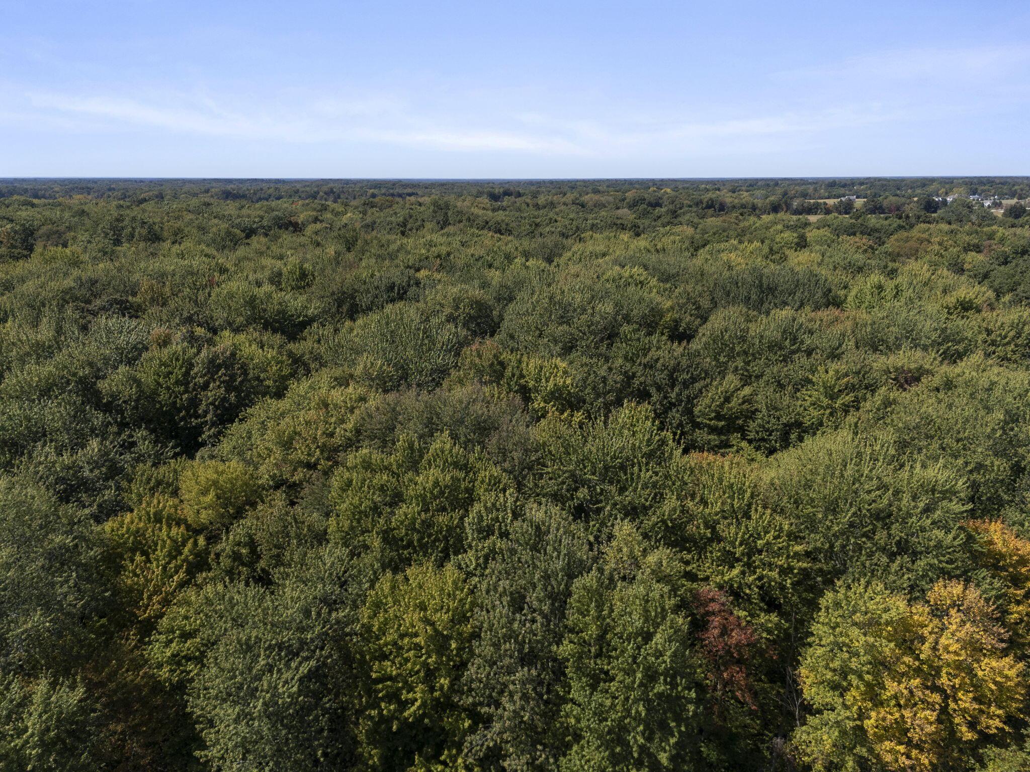 0 Trimmer Road Centerburg, OH 43011 - Photo 12 of 14
