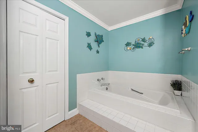 a bathroom with a bathtub