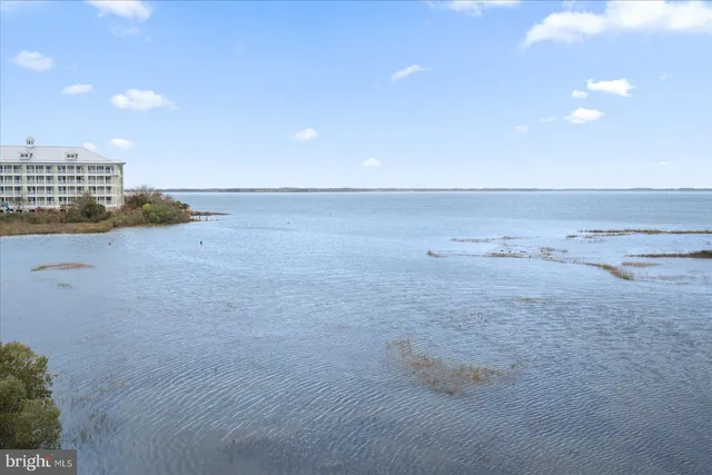 a view of an ocean and beach