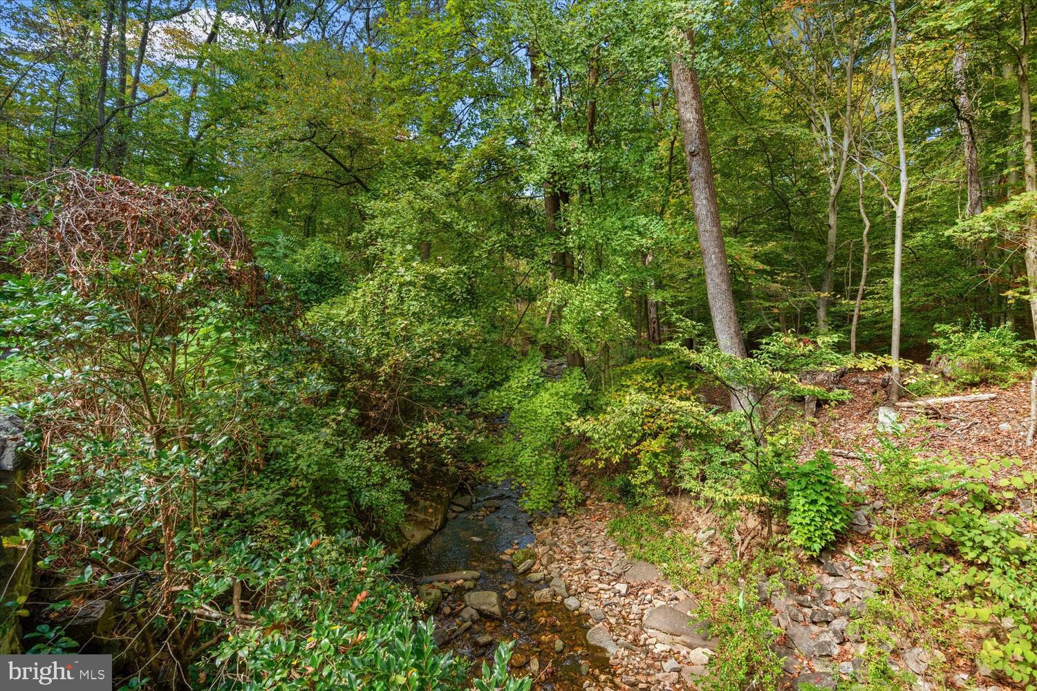 4838 Broad Branch Road Northwest Washington, DC 20008 - Photo 32 of 33 a view of a lush green forest