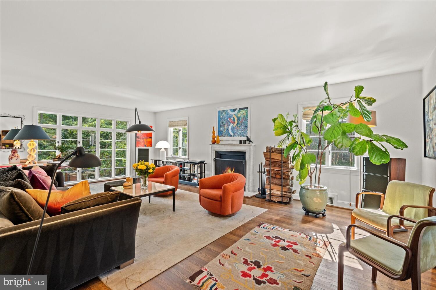 4838 Broad Branch Road Northwest Washington, DC 20008 - Photo 6 of 33 a living room with furniture and a potted plant