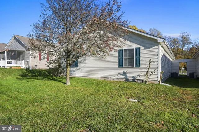 a backyard of a house with plants and large tree
