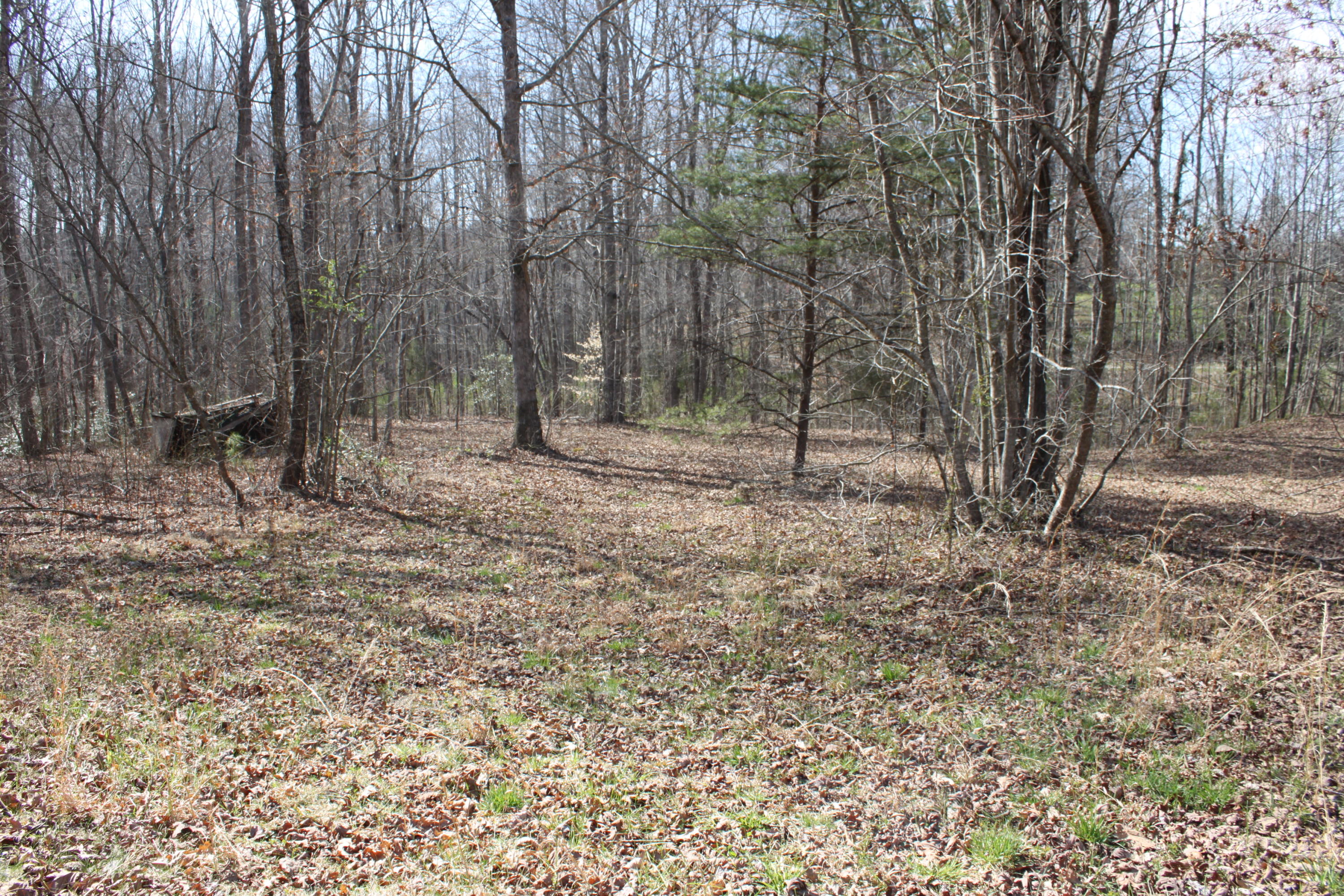1019 New Light Road Winfield, TN 37892 - Photo 11 of 23 IMG_7932