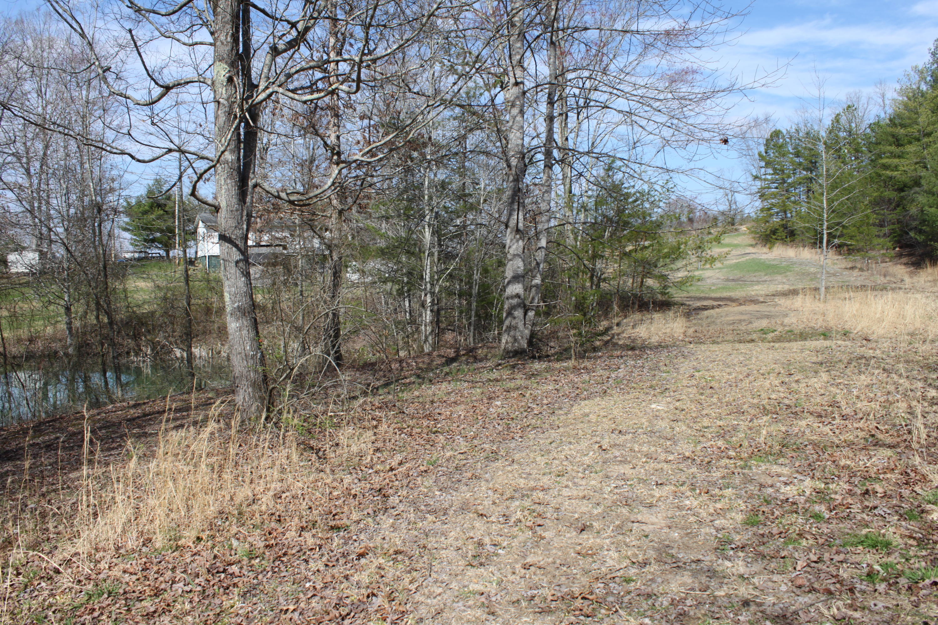 1019 New Light Road Winfield, TN 37892 - Photo 12 of 23 IMG_7928
