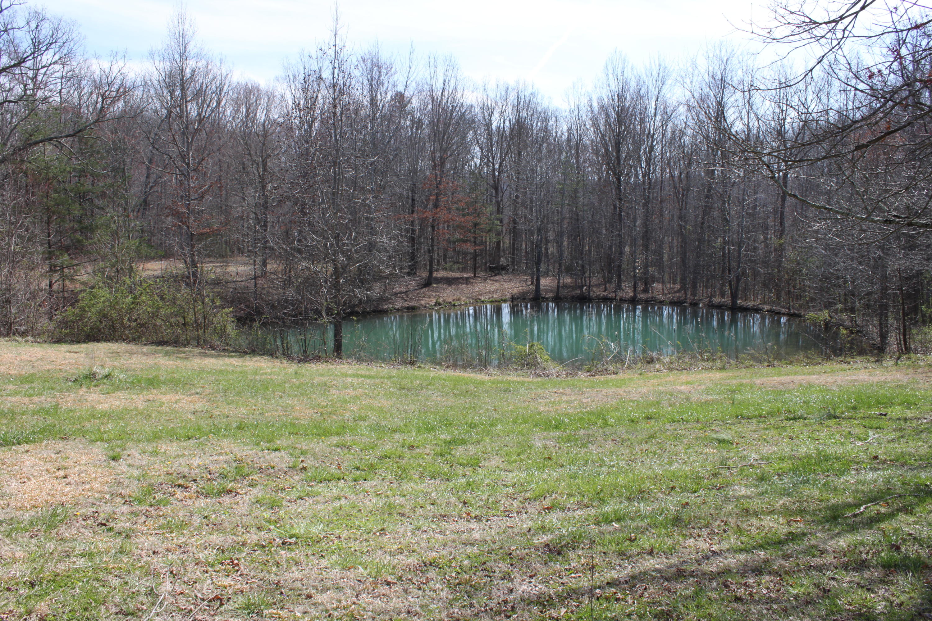 1019 New Light Road Winfield, TN 37892 - Photo 7 of 23 IMG_7918