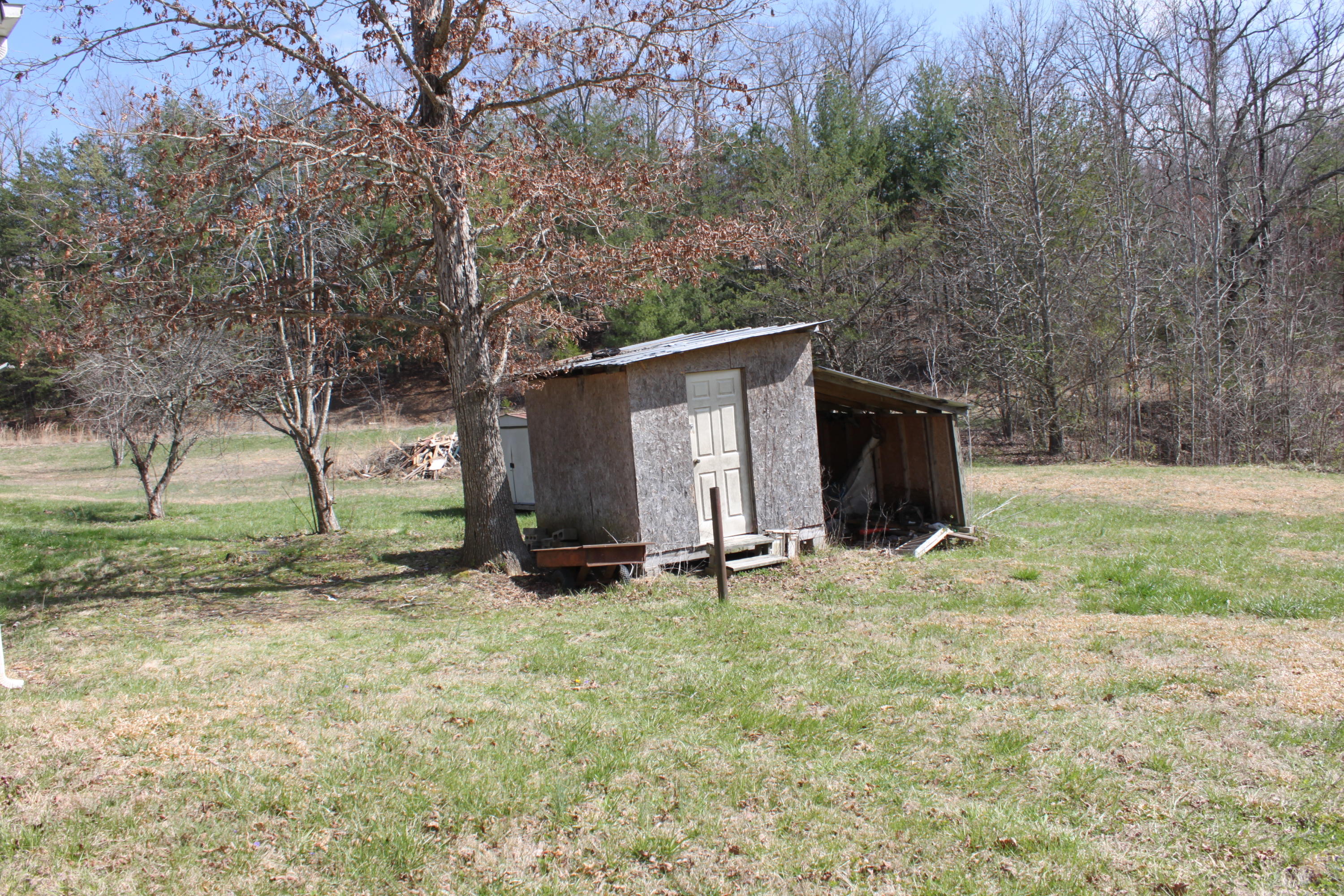 1019 New Light Road Winfield, TN 37892 - Photo 8 of 23 IMG_7917 (1)