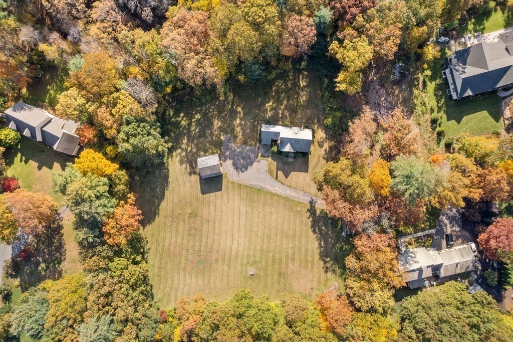 51 Willard Road Weston, MA 02493 - Photo 6 of 7