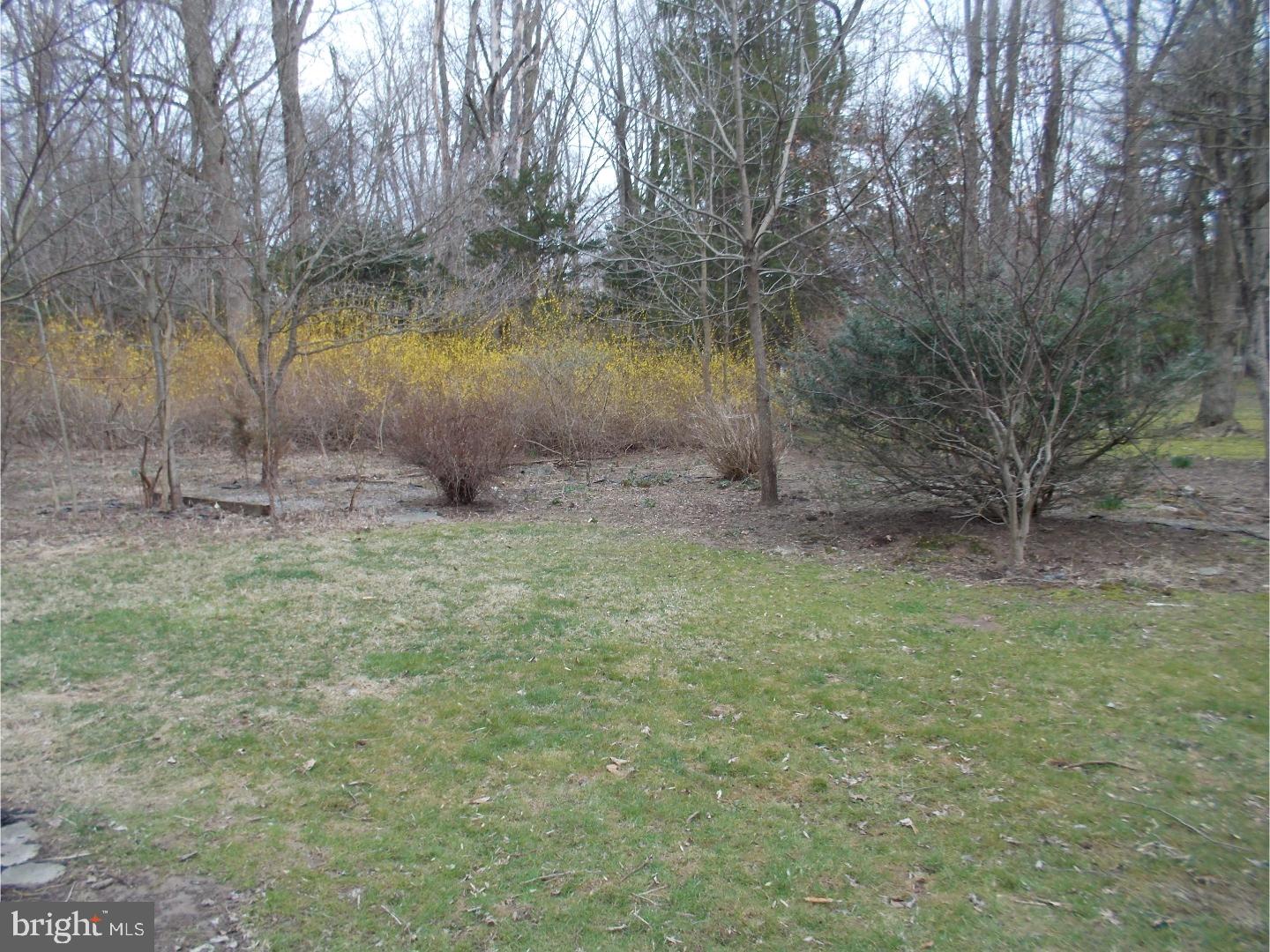 10 Maddock Road Titusville, NJ 08560 - Photo 19 of 24 Back Yard