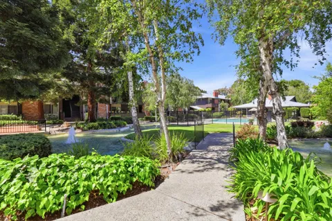 a view of a garden with plants and large trees