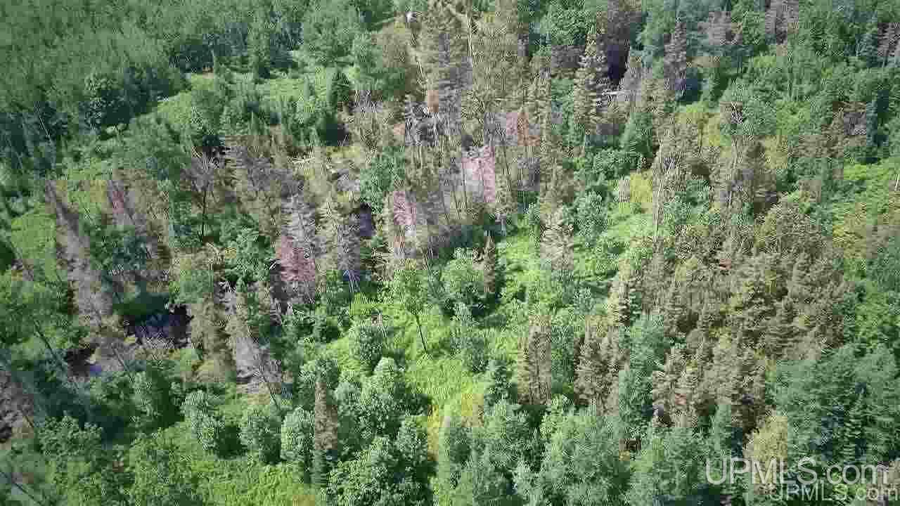 Tbd Off Nowack Road, Unit 1 Powers, MI 49874 - Photo 12 of 32