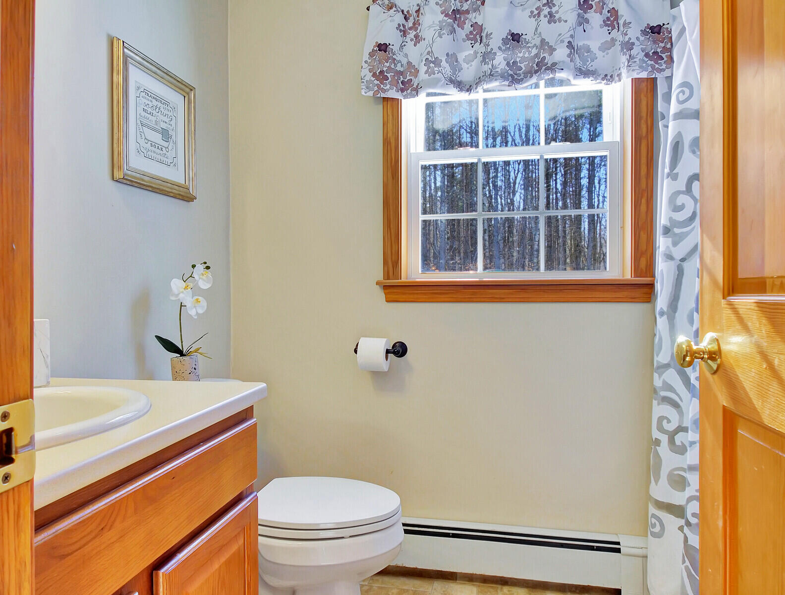 87 Spring Drive Bowdoin, ME 04287 - Photo 18 of 49 13_DJI_0846_DxO_mls