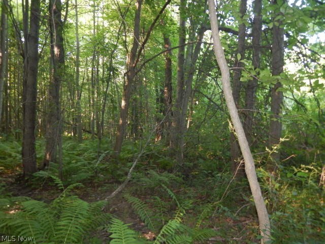 North County Line Road Geneva, OH 44041 - Photo 14 of 32