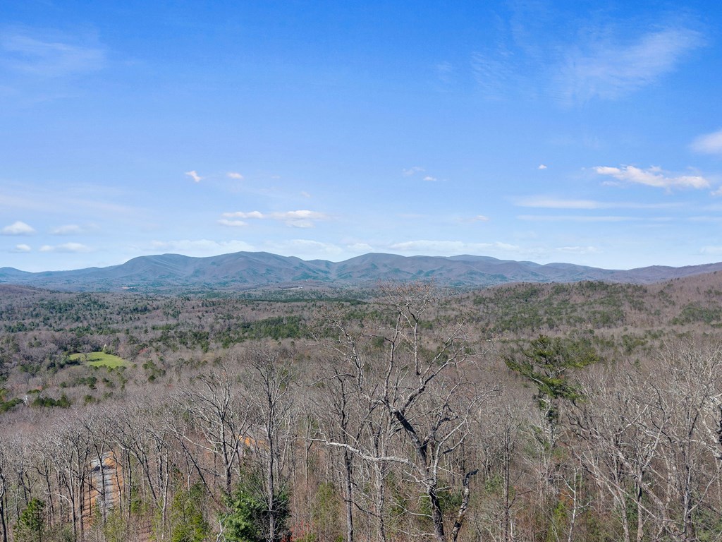 1202 Tickanetley Road Ellijay, GA 30536 - Photo 50 of 50 Gallery Image 50