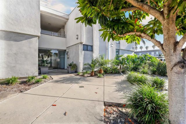 a couple of potted plants in front of door