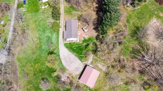a view of a yard with plants