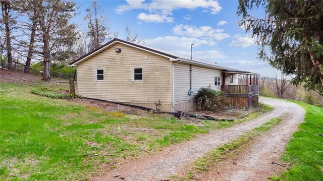 a view of a backyard with plants and large tree